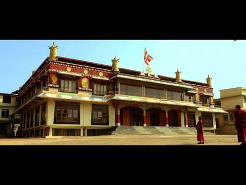 SAFFRON HEART OFFICIAL TRAILER (RUS)