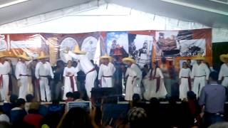 preview picture of video 'baile tradicional de jamay 2014 corpus  4/4'