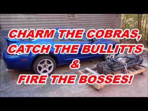 MUSTANG ST PART 7: Paying Off the IRS (IRS Swap & Performance Parts REVIEWS)