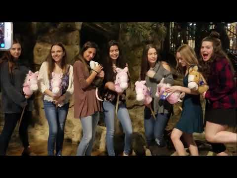 Sweet 16 Birthday Limo Escapades