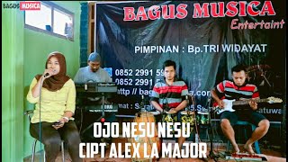 Download lagu Ojo Nesu Nesu-Cipt Alex Lamajor ||Bagus Musica mp3