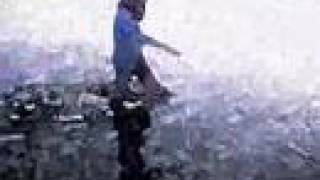 Seu Jorge, Rebel Rebel