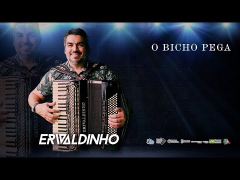 Erivaldinho Do Acordeon - O Bicho Pega (DVD O Regresso)