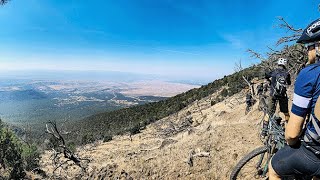 Overview of the Palisade Plunge.