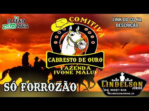 CD - COMITIVA CABRESTO DE OURO E FAZENDA IVONE MALUF 2022 (SÓ FORROZÃO) DJ LINDELSON JÚNIOR