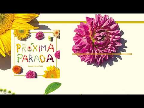 Próxima Parada - Dreaming Out Loud (Official Audio)