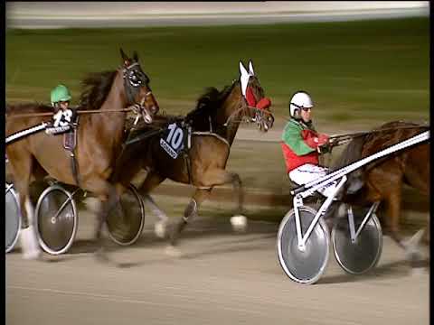 Trotto 18/01/2019 - 6ª corsa