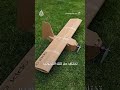 المسيرات الكرتونية