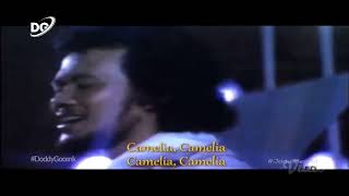 Download lagu Rhoma Irama Camelia STF Camelia....mp3