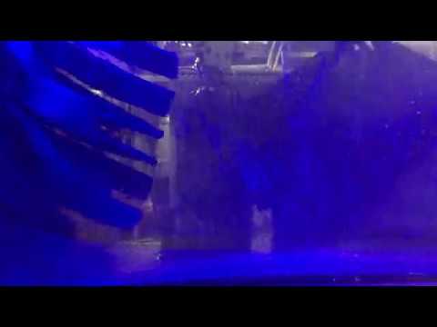 Youtube-Video