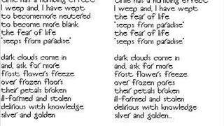 Death In June - Frost Flowers