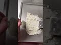 Will Fried Pickle Ranch Dip Roll