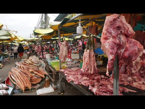 Amazing Morning Street Food at Century Plaza - Walking Around Century Plaza Food Market