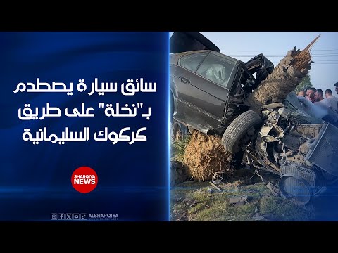 شاهد بالفيديو.. إصابة سائق بعد اصطدام سيارته بـ"نخلة" على طريق كركوك السليمانية