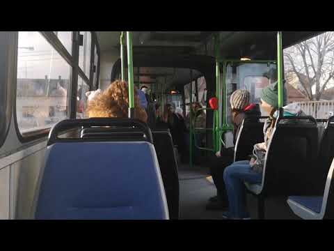 Ikarus 280.49 (BPO-808) [23-as buszvonal] Pesterzsébet, Ady Endre tér - Szent Erzsébet tér