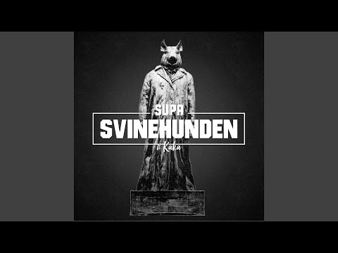 Video thumbnail for Svinehunden