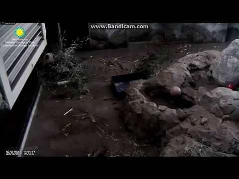 2017.05.26 BEI BEI'S AT DINNER