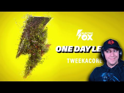 ProjektPi Reaction | Tweekacore ft. Eirick Naess - One Day Left | German