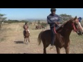 HORSE CARE UNIT