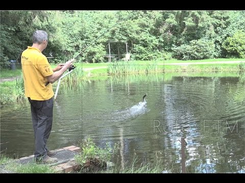 Forellen suchen und finden Teil 1: Oberfläche