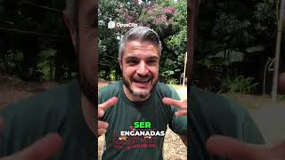 SE APRENDER ISTO SEU CACHORRO SE CURA RÁPIDO