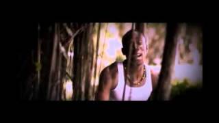 Christopher Ellis - Willow Tree 2010 [OFFICIAL VIDEO]