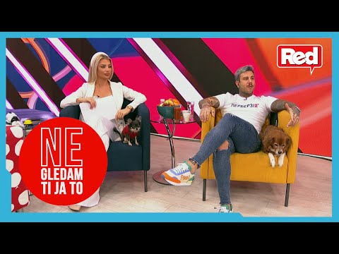 Kako je Filip Đukić pronašao i spasio psa - Ne gledam ti ja to - 28.01.2022. - Red TV
