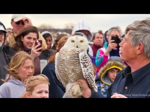 ProjectSNOWstorm 3 - Funding the Future