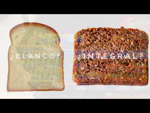 PAN INTEGRAL VS PAN BLANCO EN DIABETES - Dr David Guzman P