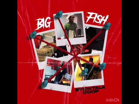 Sticktalk Coop - Big Fish