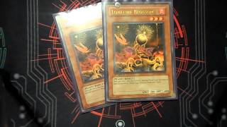 YGO Deck Profile Update: Black Rose the Re-Birth Deck 3-4-14