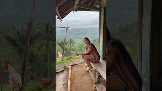 Download lagu Ngagupaian hayam hela baraya #rismanirmalasari #shortsvideo #gadisdesa mp3