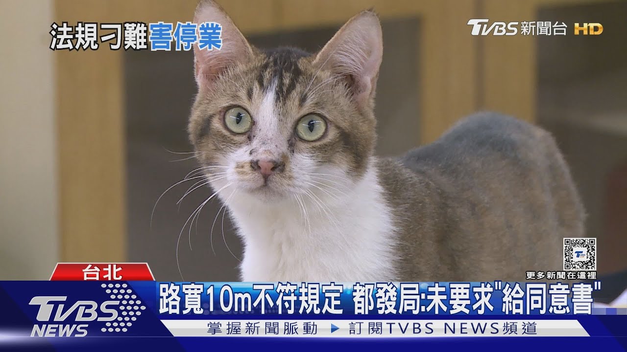 沒2樓也無法營業? 貓「中途之家」控都發局刁難