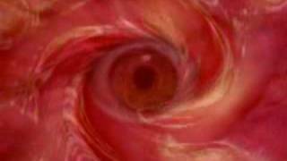 The Beastie Boys - POW!