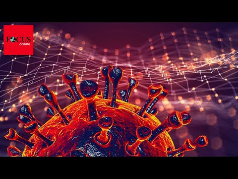 99 Millionen analysiert: Riesen-Studie zeigt häufigste Nebenwirkungen der Corona-Impfung