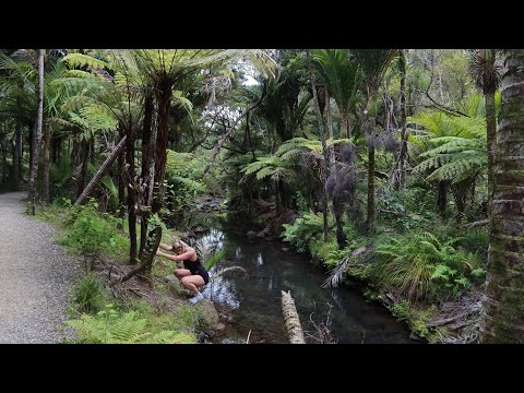 Exploring Piha! (black sand beach) and Kitekite falls hike in New Zealand! 🇳🇿