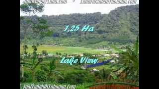 preview picture of video 'JUAL TANAH di TABANAN BALI 12,500 m2  view danau buyan dan gunung'