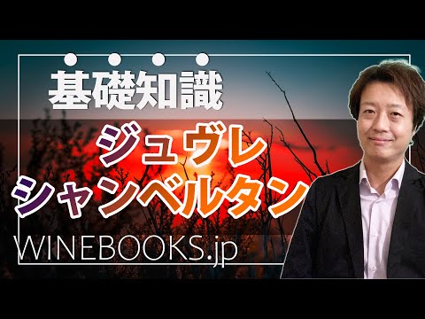 Gevrey-Chambertin | Puntos básicos de los vinos populares de Borgoña