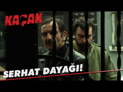 Serhat dayağı! - Kaçak