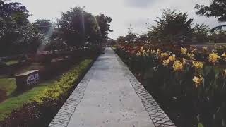 Download lagu Alun-alun Kota Polewali Mandar II mp3