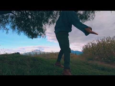 De Algú Tiempo a Esta Parte - Árbol (Video Oficial)