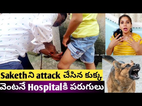 Time బాగుంది అనుకోవాలో బాగోలేదు అనుకోవలో తెలియటం లేదు|Dog Attack on Saketh|కుక్కలతో జాగ్రత్త 🐕