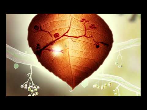 Botanicula - Gameplay - YouTube