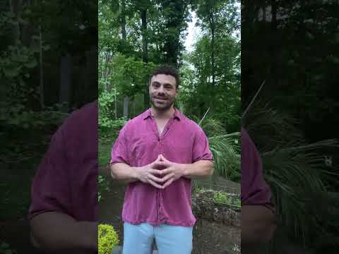 Curcumin & Piperine Improves Cholesterol