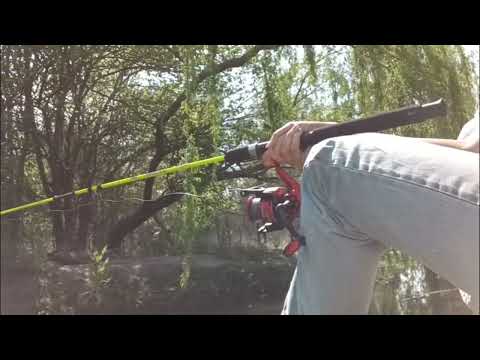 Pesca - Día tres intentando pescar
