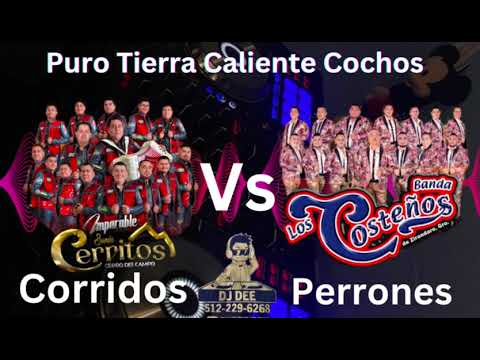 Corridos Perrones Al Estilo Tierra Caliente 🔥🔥 Banda Cerritos Vs Banda Los Costeños