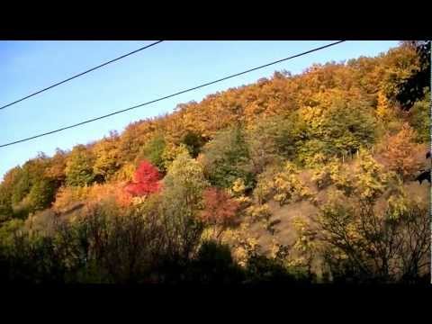 zi de toamna la Obirsia Closani