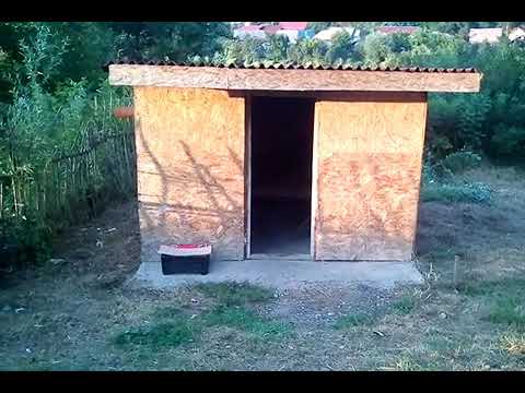 Lena din Ticau 2020 Casa unei femeii singure imaginii emoționale HD 2017 by Andrei Marius știri