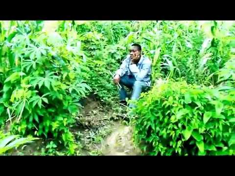 vido Smith FT Mr fire holou . sona mawou