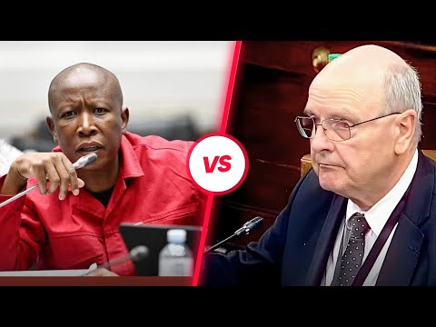 EFF President Julius Malema Grills Paul O’Sullivan at the Ad Hoc committee 